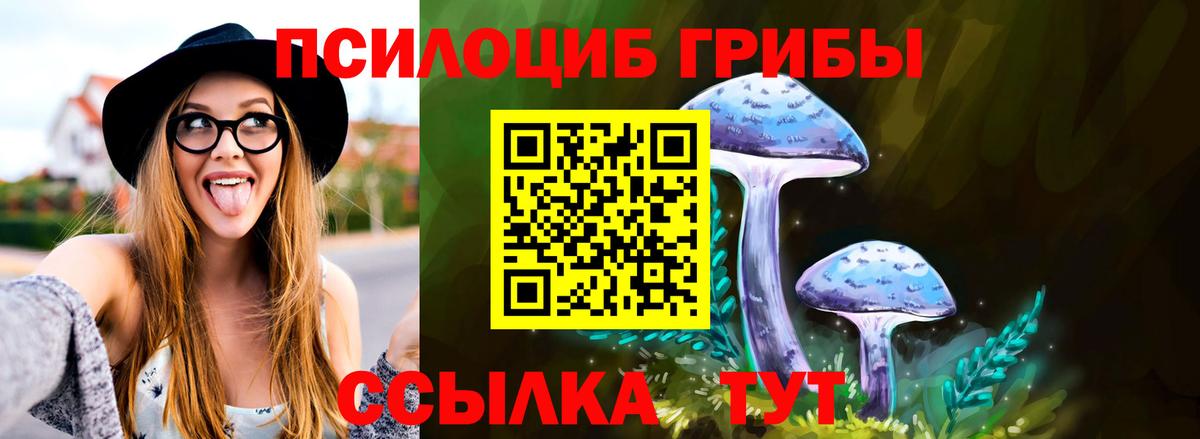 Галлюциногенные грибы Psilocybe Усолье-Сибирское